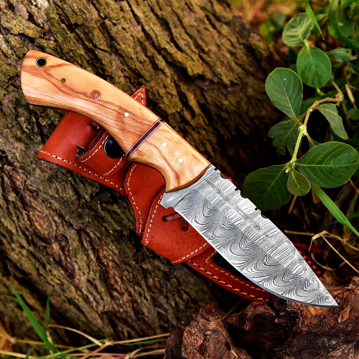 10-inch Damascus blade hunting knife with olive wood handle, comes with a custom leather sheath