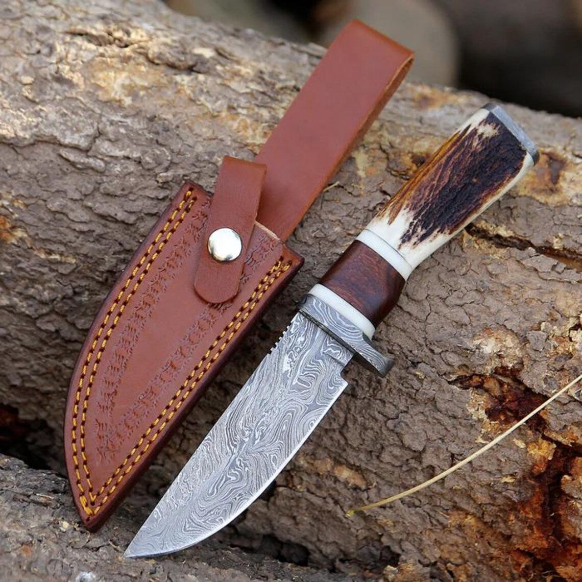 10" Damascus Steel Hunting Knife with Damascus Guard and Stag Horn Handle.