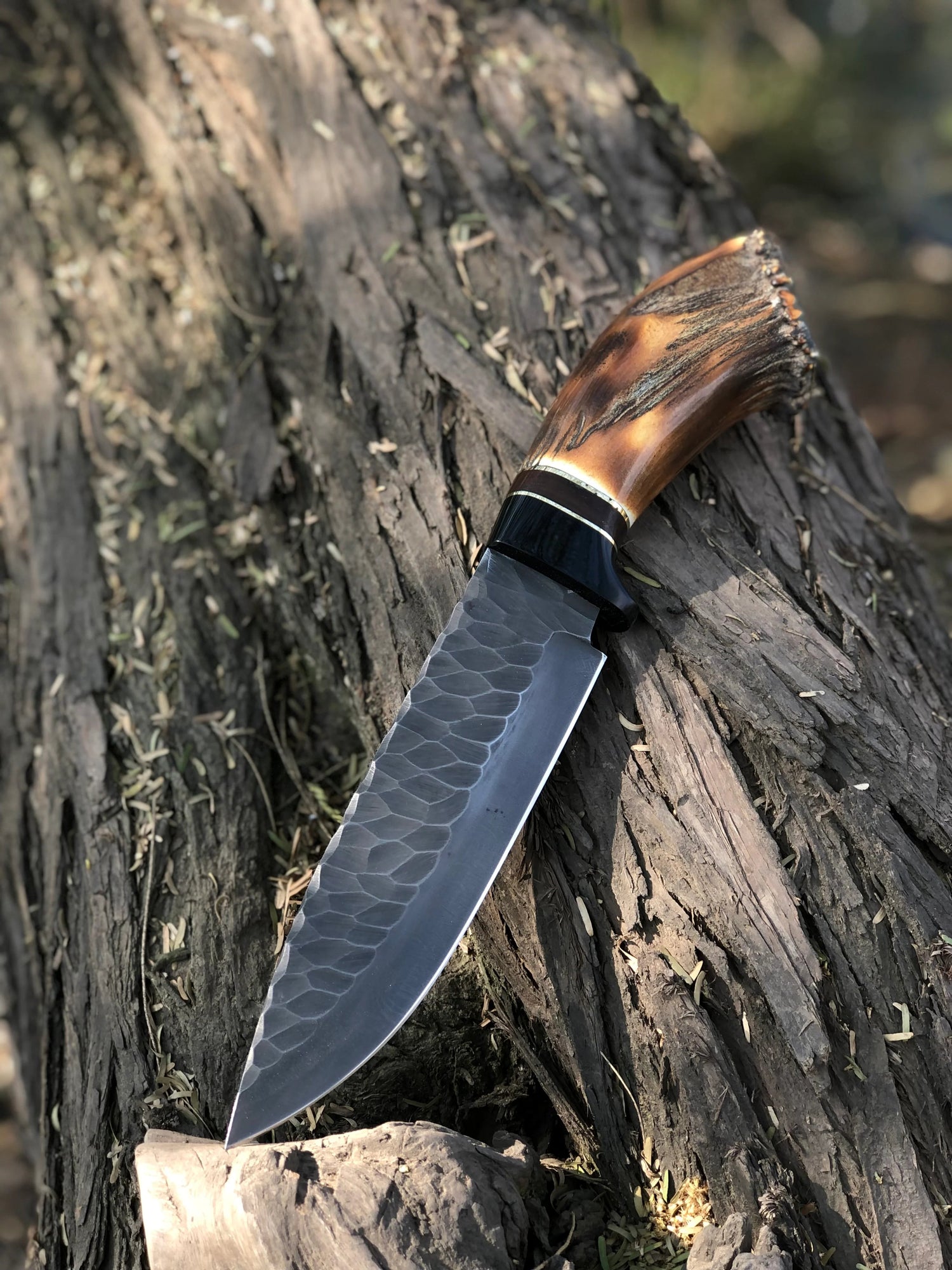 classic high-carbon hunting bowie knife