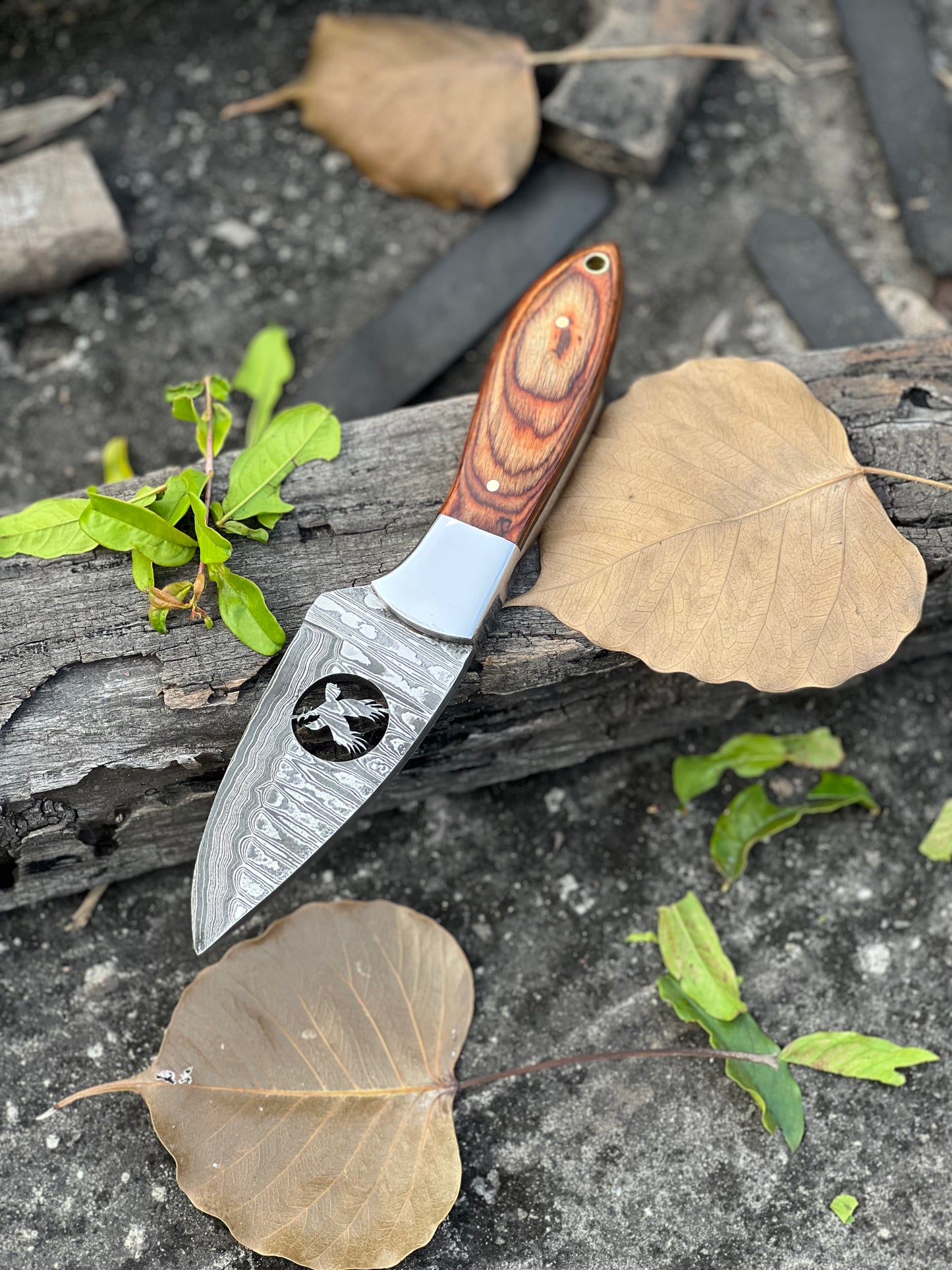 Skinner Knife – 8" Forged Damascus Steel Blade with Wire-Cut, Pakkawood & Steel Bolster Handle + Leather Sheath