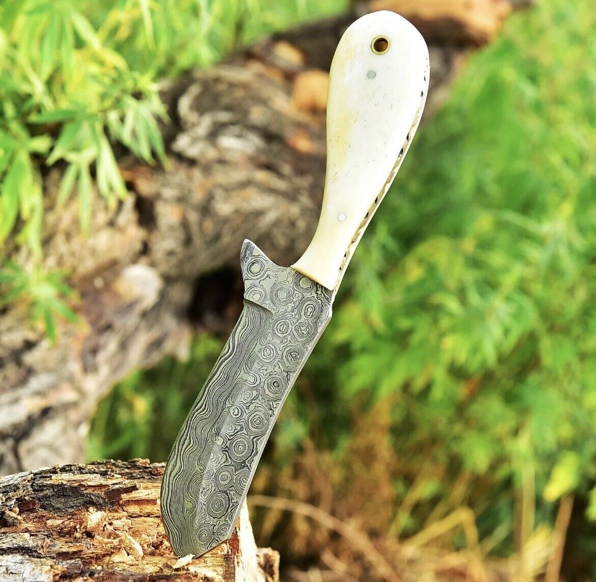 Gareth Bull Shamwari Inspired – 8" Handmade Damascus Knife with Camel Bone Handle & Leather Sheath