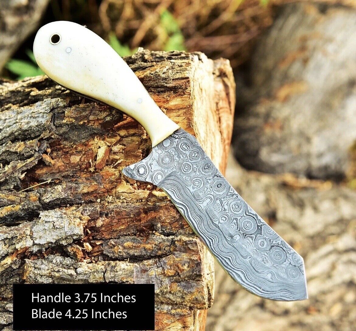 Gareth Bull Shamwari Inspired – 8" Handmade Damascus Knife with Camel Bone Handle & Leather Sheath