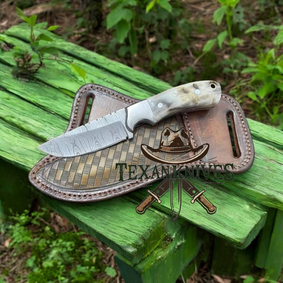 "Handcrafted Western belt knife with Damascus steel blade and sheep horn handle"