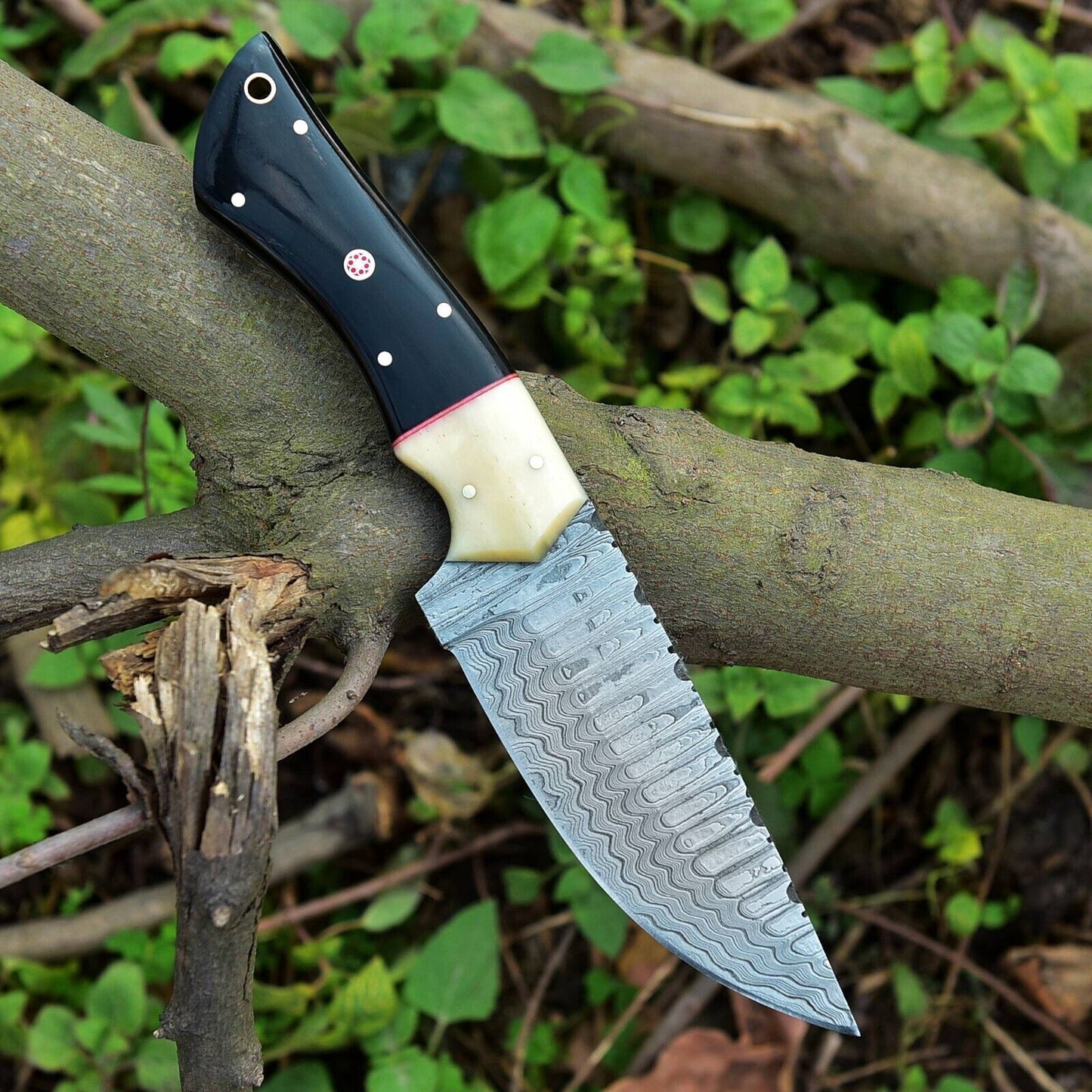 Handmade custom skinning knife featuring a 3.5-inch Damascus blade, buffalo horn, and camel bone handle for durability and style.