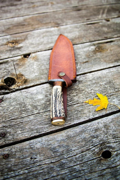 15" Damascus Steel Bowie Knife with Historic Design and Stag Horn Handle.