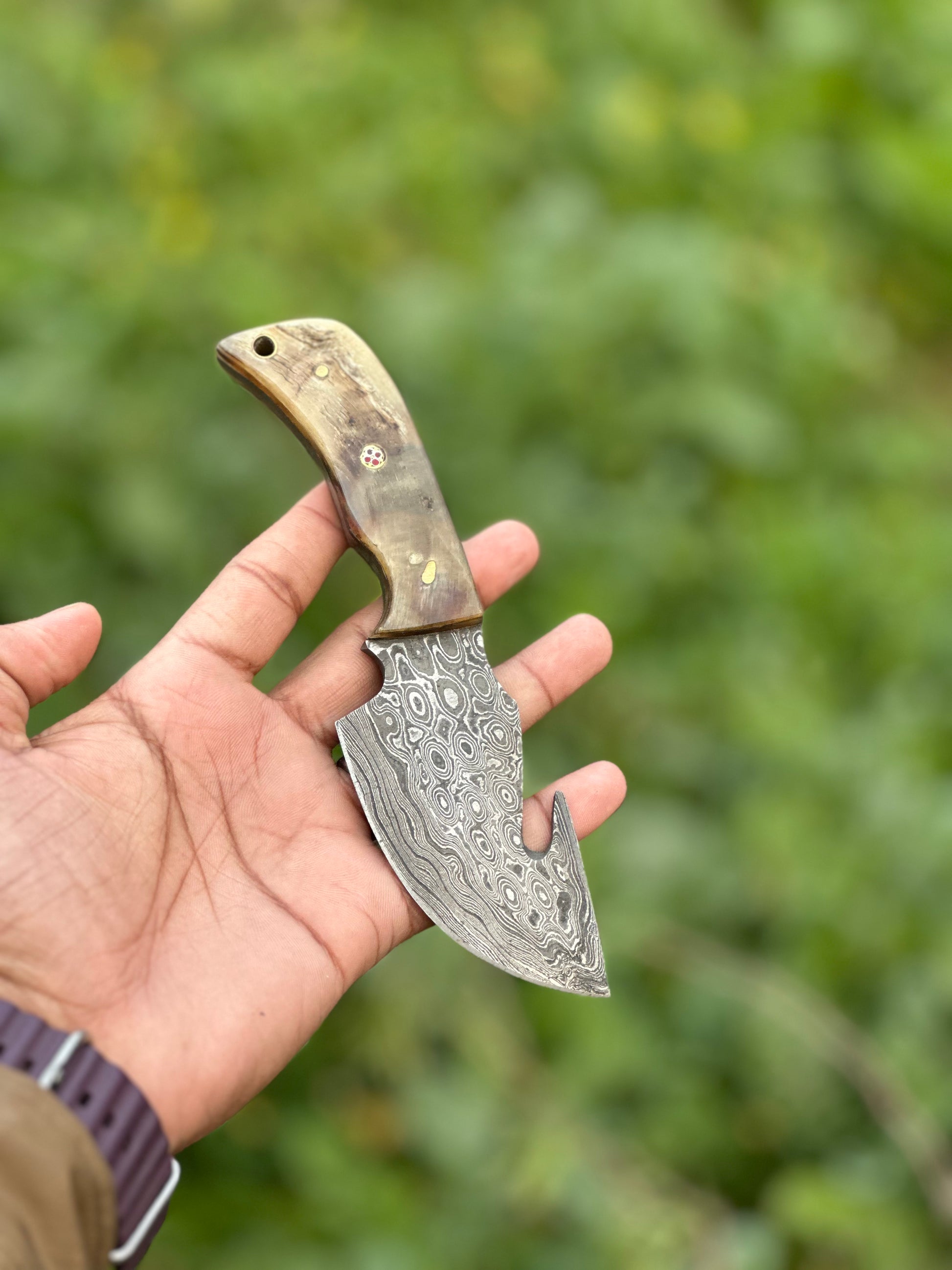 Damascus steel guthook knife with a unique sheep horn handle, paired with a leather sheath.