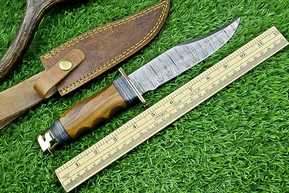 "Western Boulder Colorado Knife with Steel Guard and Handcrafted Rosewood Handle"