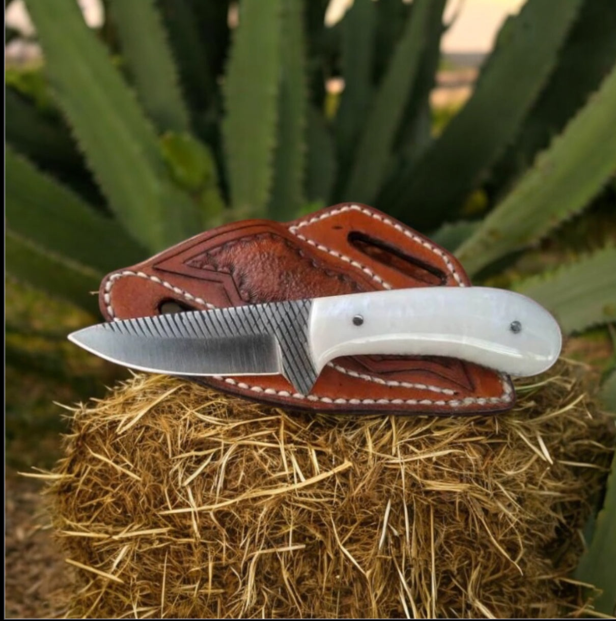 Western Fixed Blade Knife with Leather Sheath – Durable Rasp Tool Blade and Resin Handle for Outdoor Use